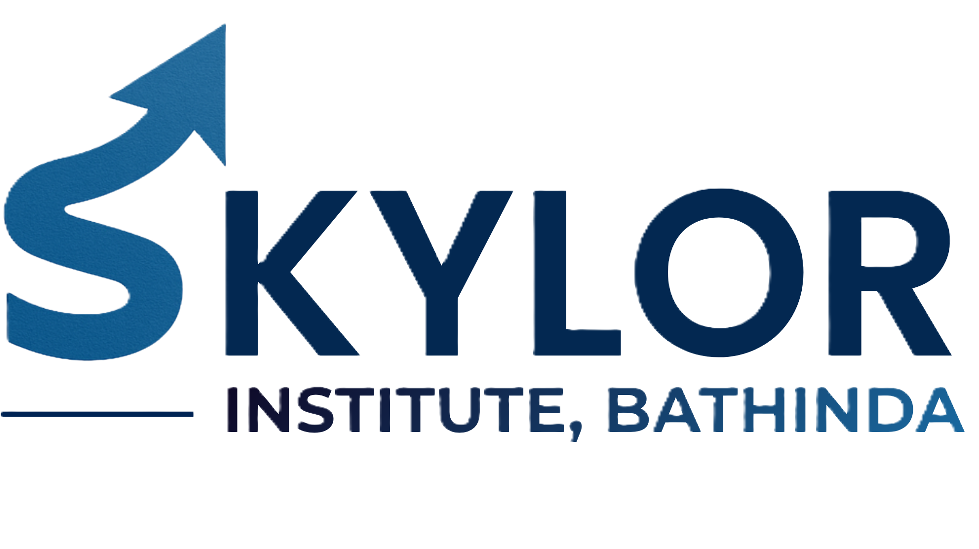 Skylor Institute
